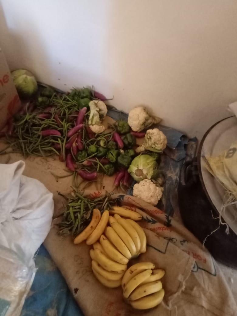 Provisions de fruits et légumes pour l'internat