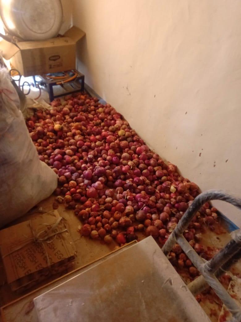 Provisions de fruits et légumes pour l'internat