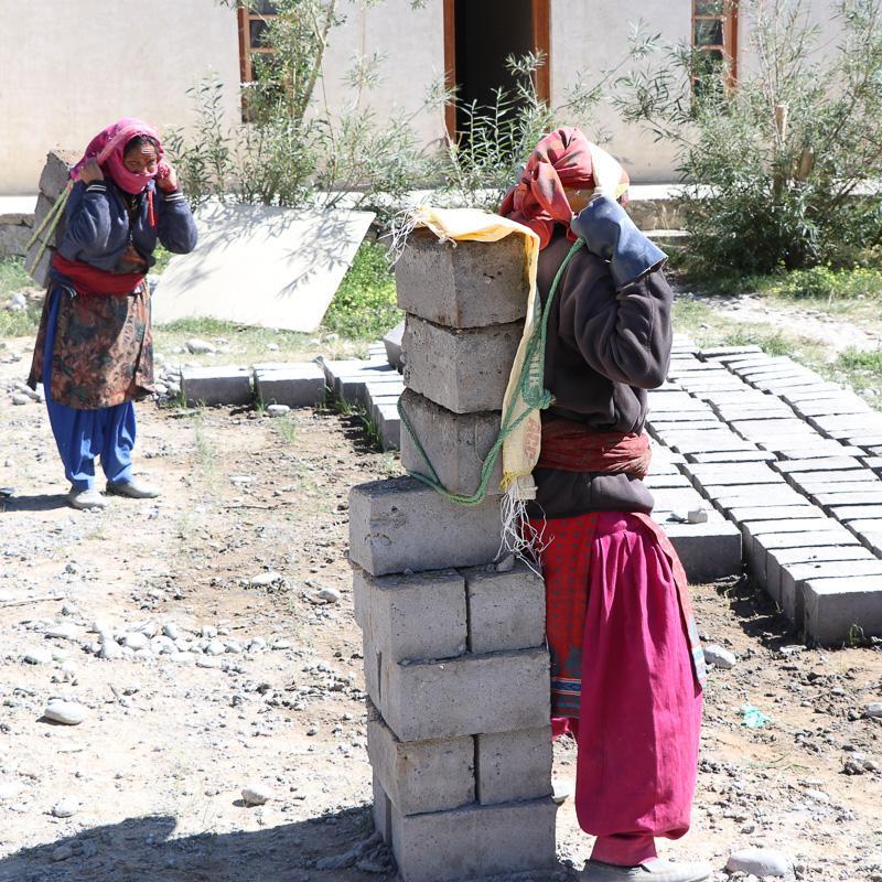 2023 lmhs greenhouse 005