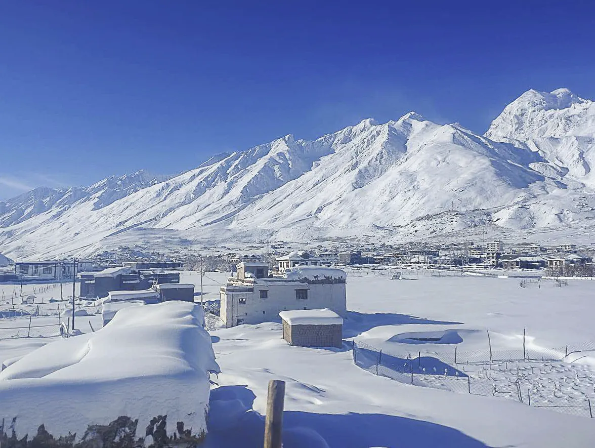 Pipiting sous la neige (février 2025)